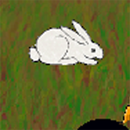 Rabbits and Carrot game